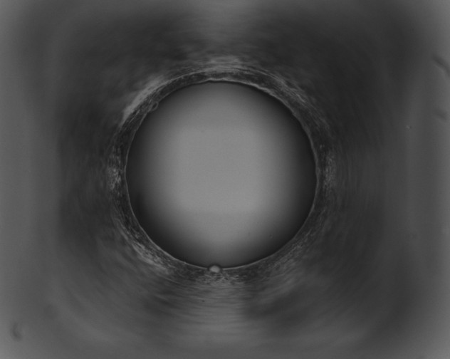 X0000101461400200807141256