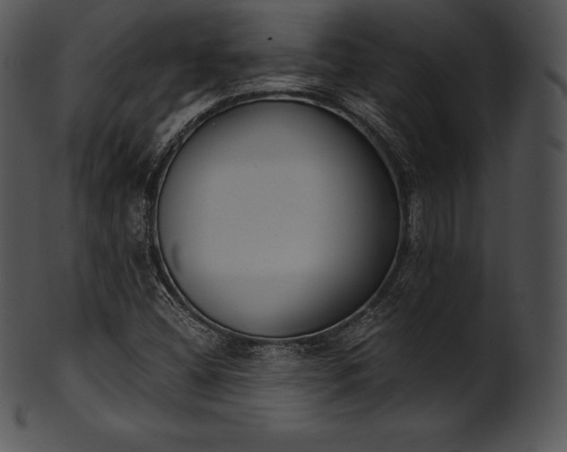 X0000101461404200807141256