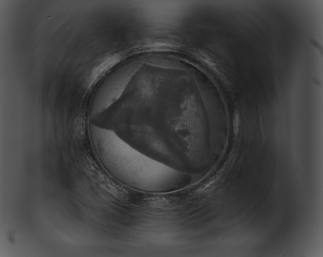 X0000101461405200807141256