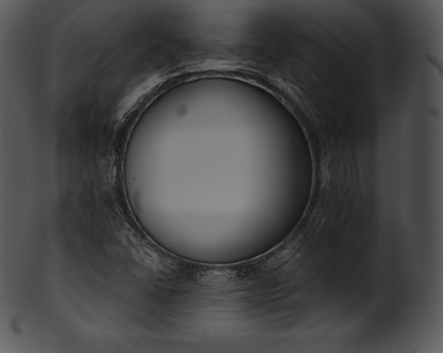 X0000101461406200807141256