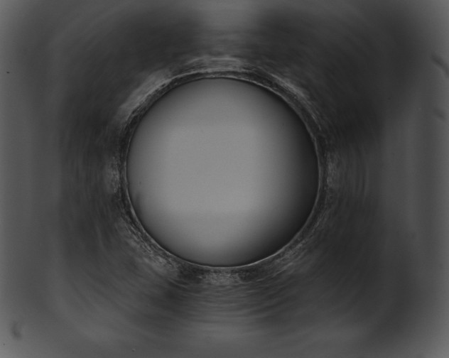 X0000101461407200807141256