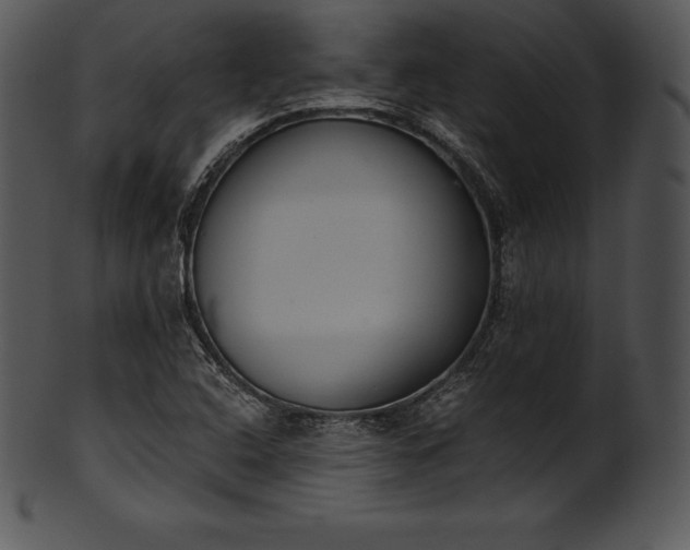 X0000101461408200807141256