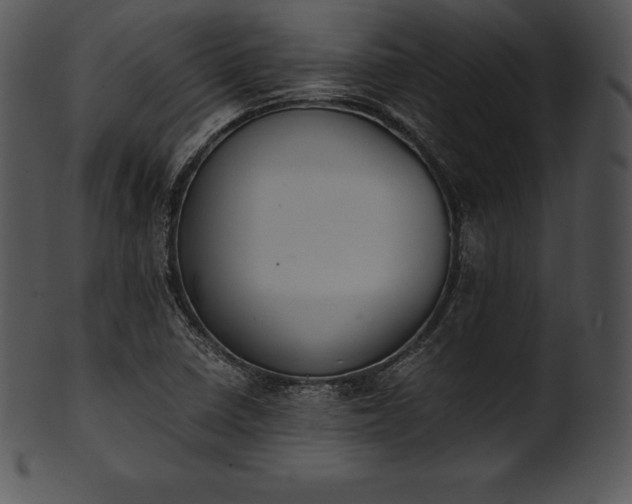 X0000101461410200807141256
