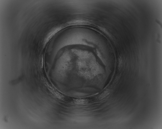X0000101461413200807141256