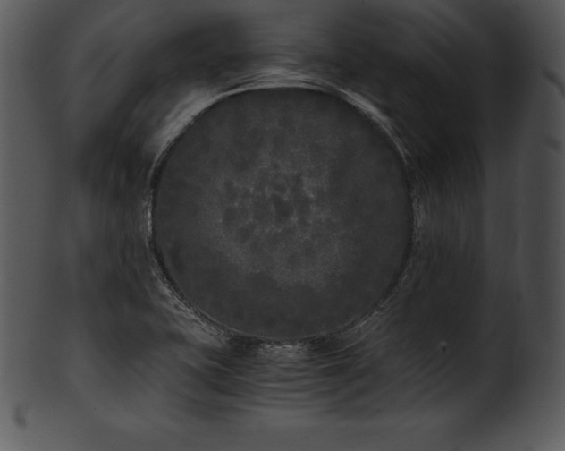 X0000101461415200807141256