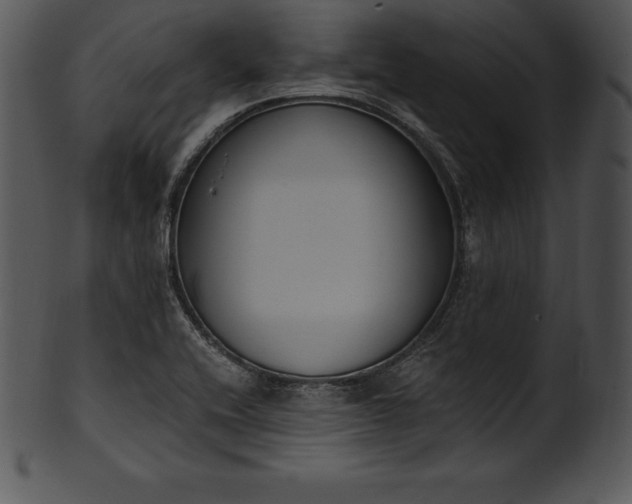 X0000101461416200807141256