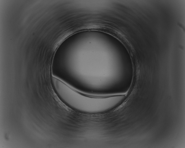 X0000101461417200807141256