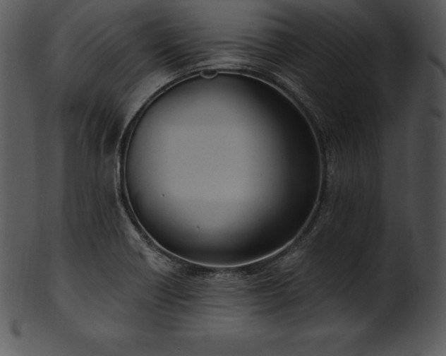 X0000101461418200807141256