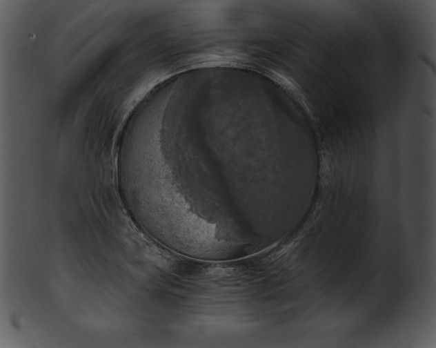 X0000101461419200807141256