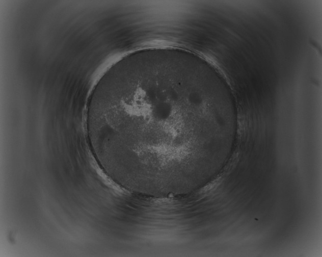 X0000101461421200807141256