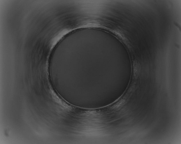 X0000101461422200807141256
