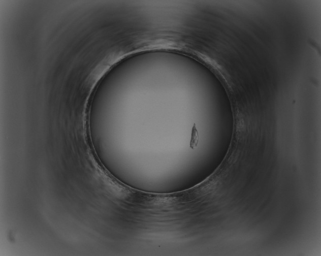 X0000101461423200807141256