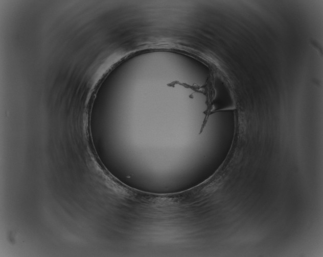 X0000101461424200807141256