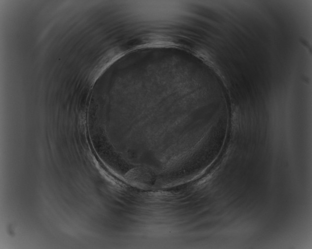 X0000101461425200807141256