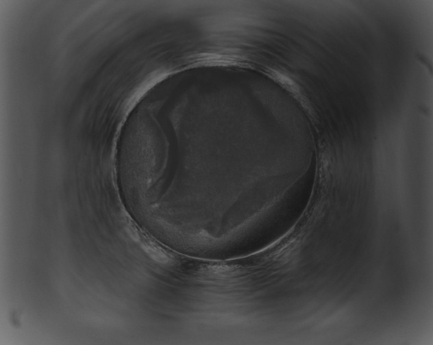 X0000101461427200807141257
