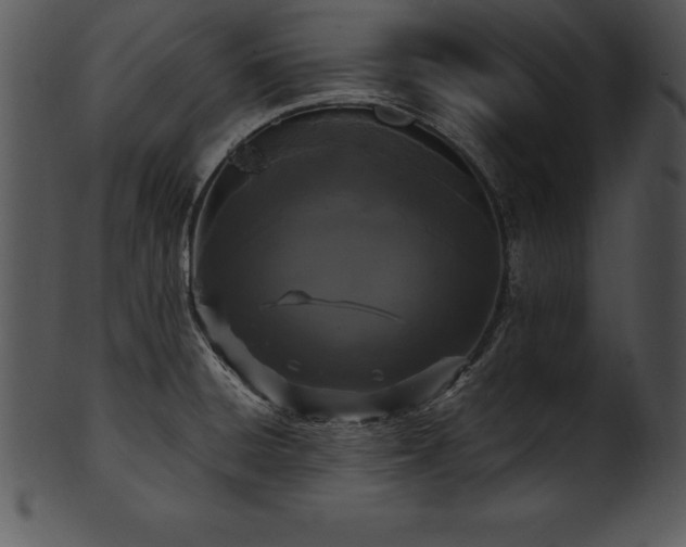 X0000101461428200807141257