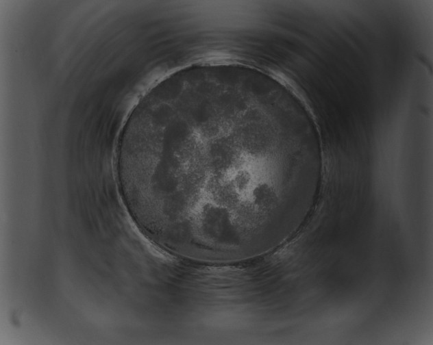 X0000101461429200807141257