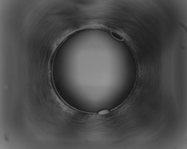 X0000101461430200807141257