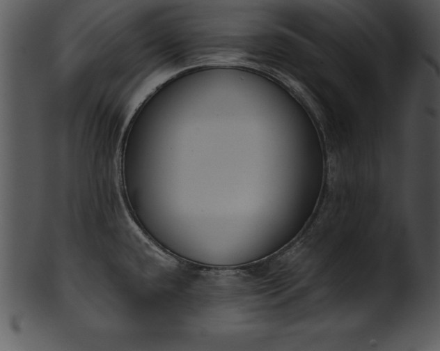 X0000101461432200807141257