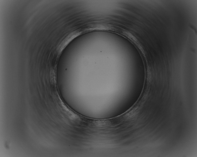 X0000101461433200807141257