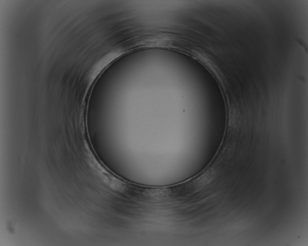 X0000101461434200807141257
