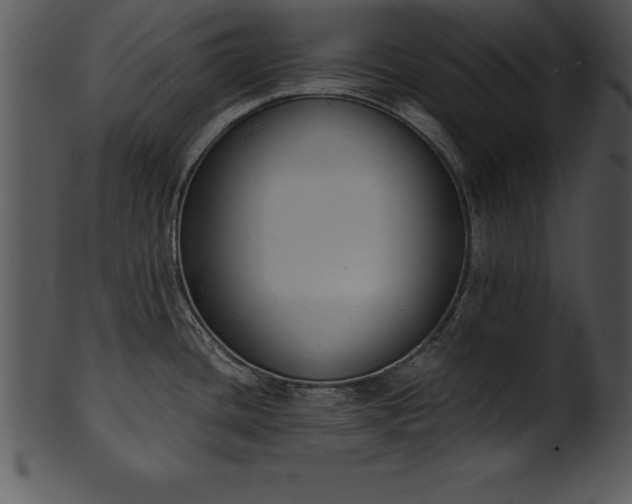 X0000101461436200807141257