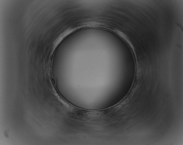 X0000101461437200807141257