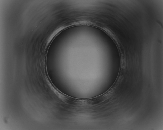 X0000101461438200807141257