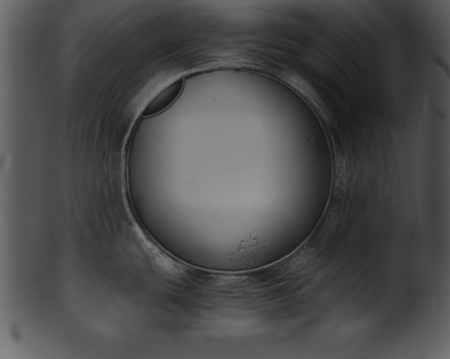 X0000101461439200807141257
