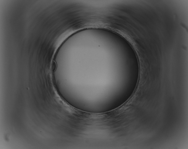X0000101461440200807141257