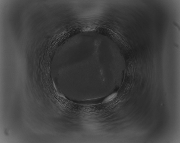X0000101461441200807141256