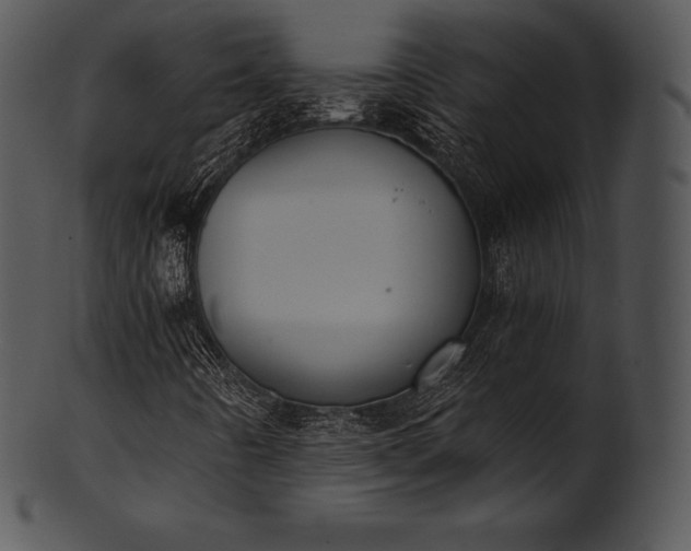 X0000101461442200807141256