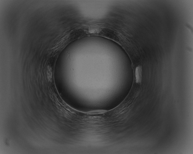 X0000101461443200807141256