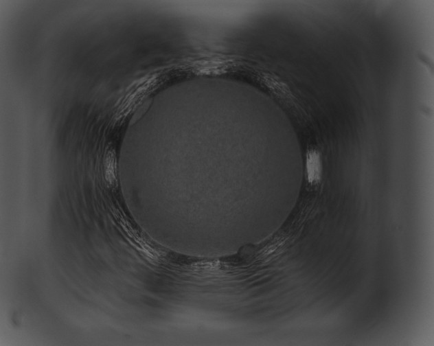 X0000101461444200807141256