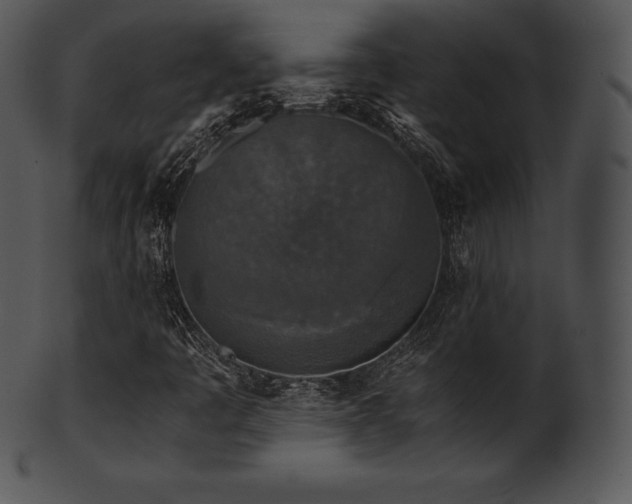 X0000101461445200807141256