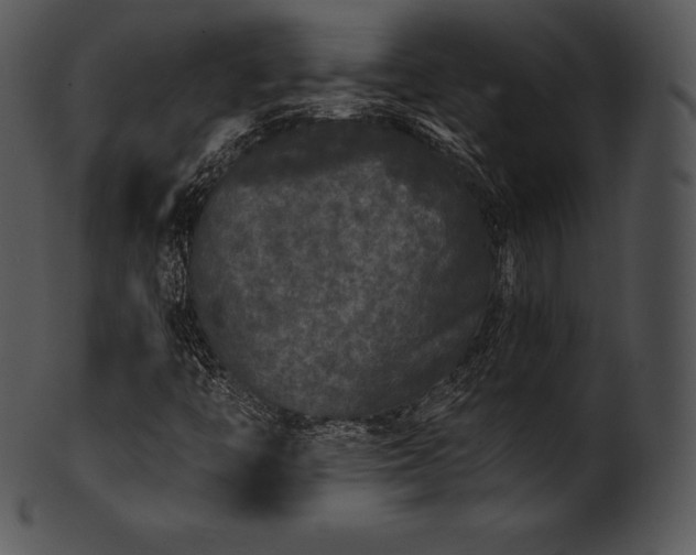 X0000101461446200807141256