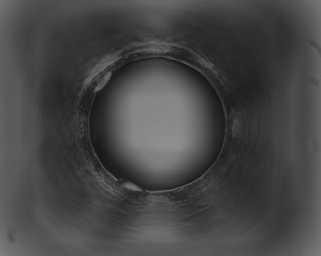 X0000101461448200807141256