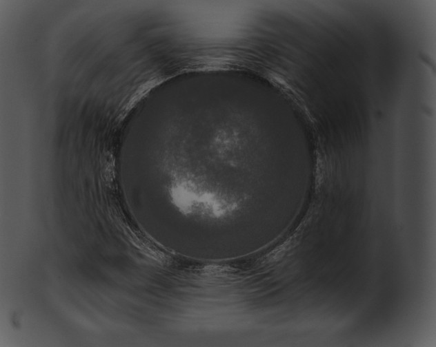 X0000101461449200807141256
