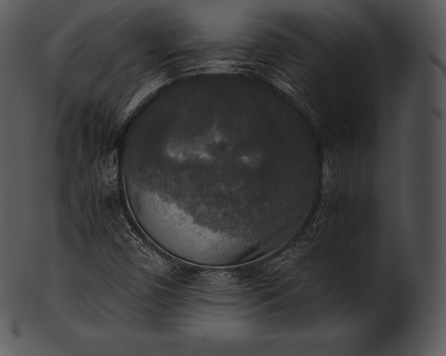 X0000101461450200807141256
