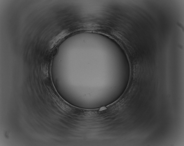 X0000101461451200807141256