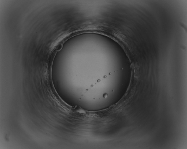 X0000101461452200807141256