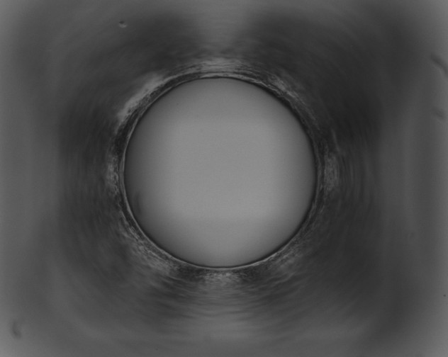 X0000101461454200807141256
