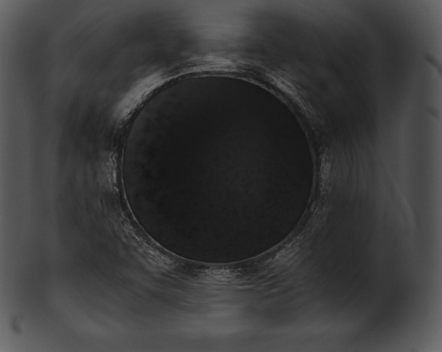X0000101461455200807141256