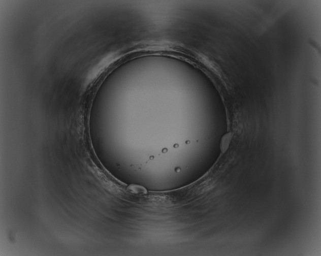 X0000101461456200807141256