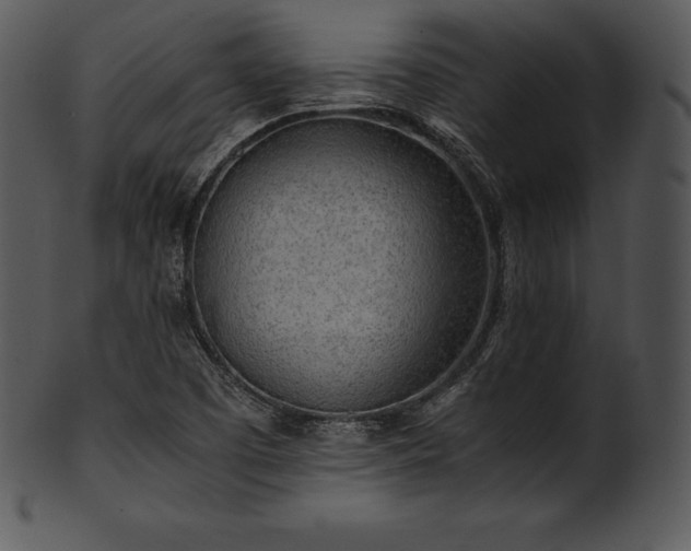 X0000101461457200807141256
