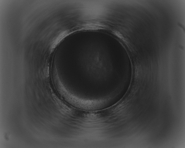 X0000101461459200807141256