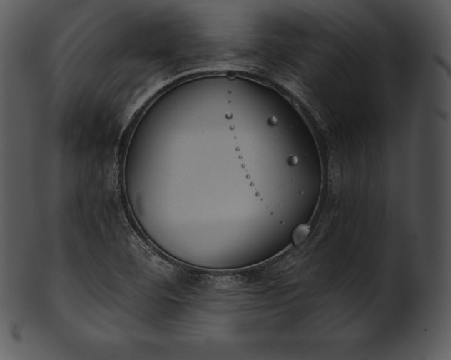 X0000101461460200807141256