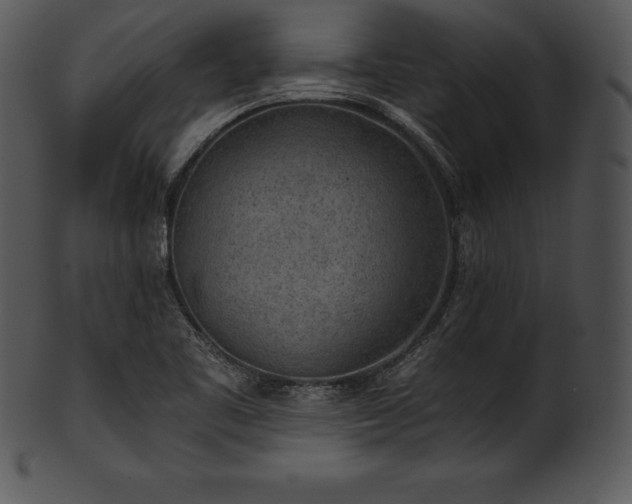 X0000101461461200807141256