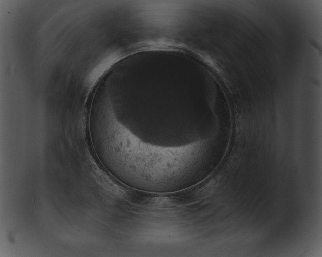 X0000101461463200807141256