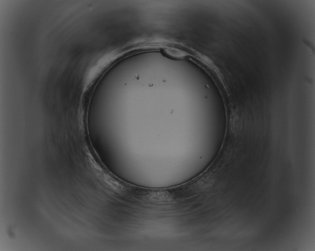 X0000101461464200807141256